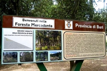 Manutenzione stradale nella Foresta Mercadante - Altamura