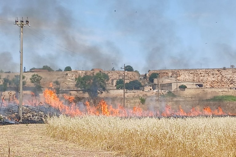 Giornata di fuochi ad Altamura, fiamme vicine a stazione servizio - Altamura