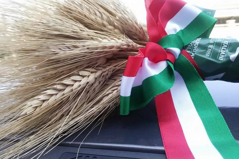 Grano duro: ricomincia il sali-scendi del prezzo - Altamura