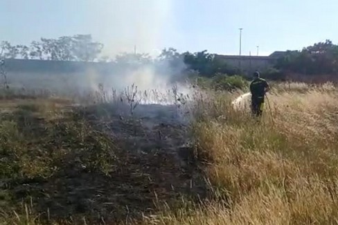 Ordinanza per pulizia di suoli e terreni agricoli - Altamura