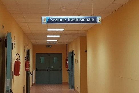Immagine del post 13495 - Altamura Un premio ai donatori di sangue e midollo osseo - Altamura