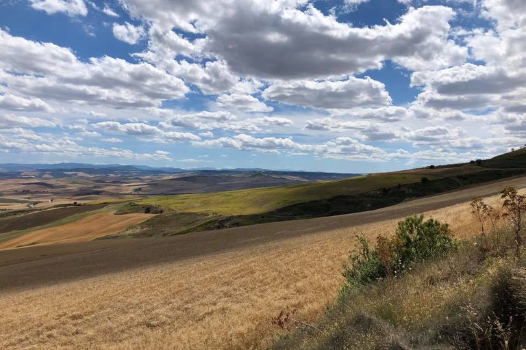 Con la siccità, diminuisce produzione agricola - Altamura