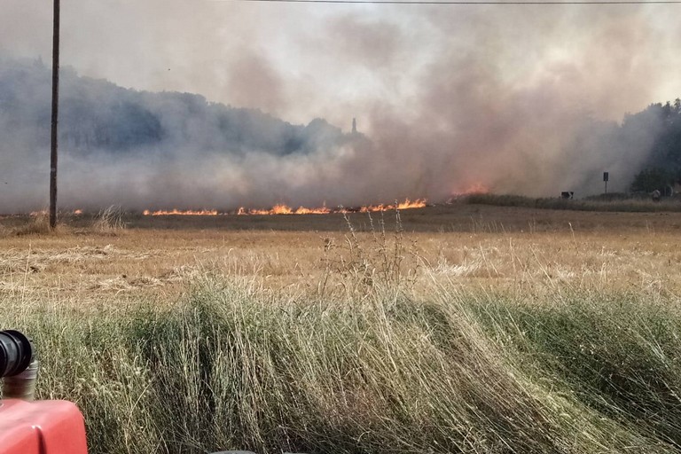 Incendi di sterpaglie e vegetazione a Lamalunga - Altamura