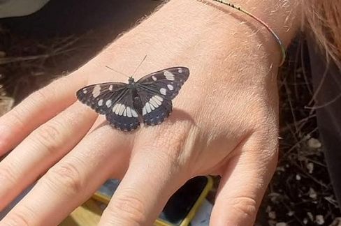 Immagine del post 13616 - Altamura Volontariato naturalistico, un progetto del Parco - Altamura