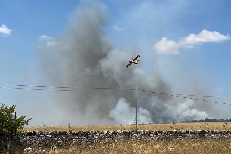 Immagine del post 23748 - Altamura Ancora fuoco nel Parco dell’Alta Murgia, altri 50 ettari in fumo - Altamura