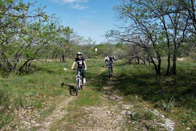 Immagine del post 8324 - Altamura Parco Alta Murgia: si riaprono adesioni per Carta turismo sostenibile - Altamura