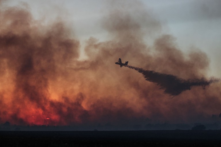 Immagine del post 8399 - Altamura Incendi: inizia il periodo di massima attenzione - Altamura