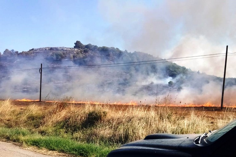 Prevenzione incendi ad Altamura, obblighi di pulizia dei terreni - Altamura