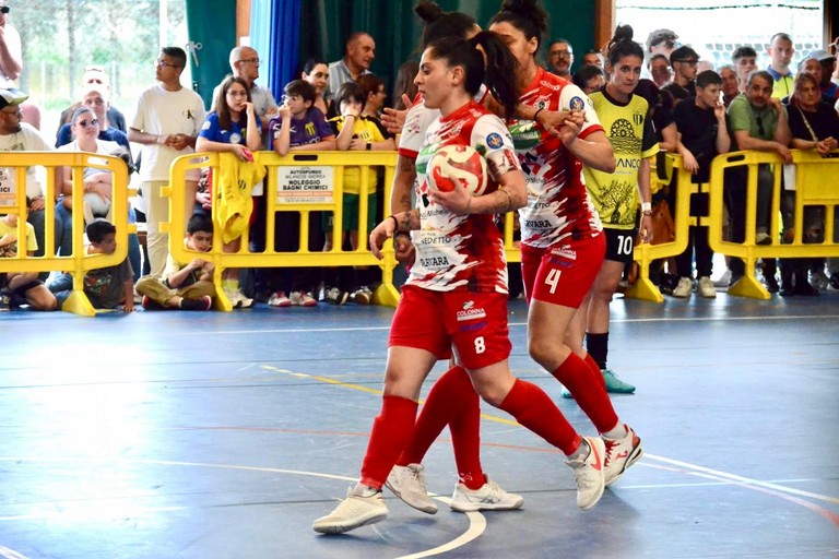 Immagine del post 7125 - Altamura Soccer Altamura: Difonzo “Non vediamo l’ora di giocare alle Futsal Finals” - Altamura