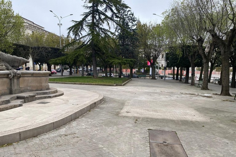 Immagine del post 20401 - Altamura Villa della fontana: interventi su alberi da abbattere - Altamura