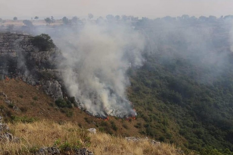 Immagine del post 7192 - Altamura Parco Alta Murgia si prepara a stagione antincendio boschivo - Altamura