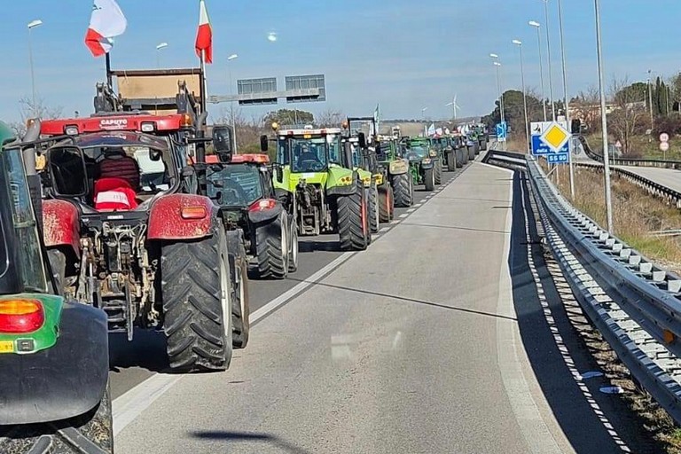 Immagine del post 26016 - Altamura Costi carburanti: 30 milioni di euro per sostegni all’agricoltura - Altamura