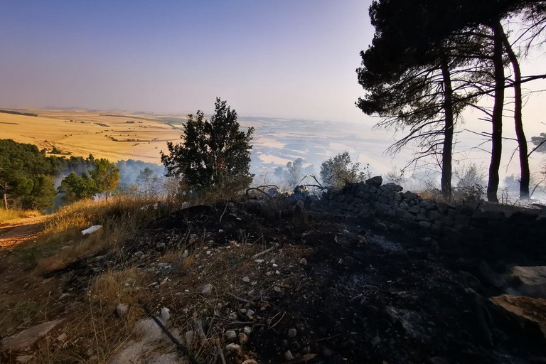 Immagine del post 21070 - Altamura Parco Alta Murgia prepara campagna antincendio - Altamura