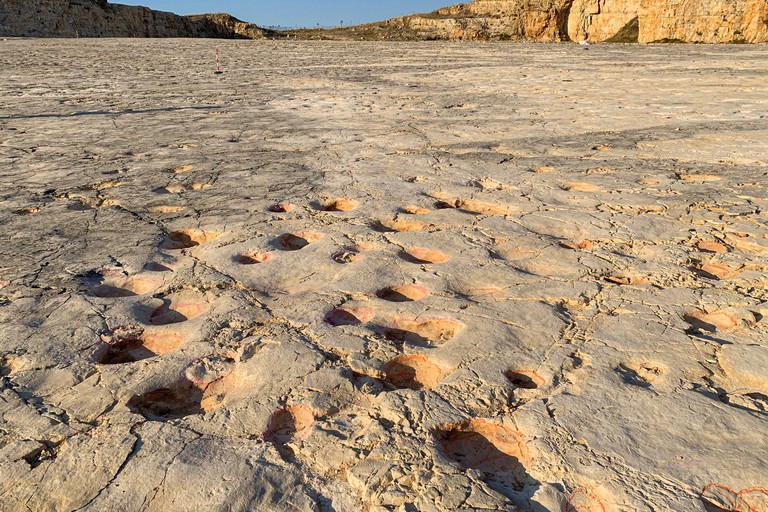 Apertura straordinaria della cava dei dinosauri per Federicus - Altamura