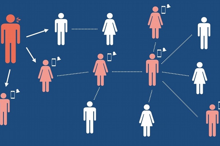 Facilitazione digitale: primo bilancio per la rete di sportelli - Altamura