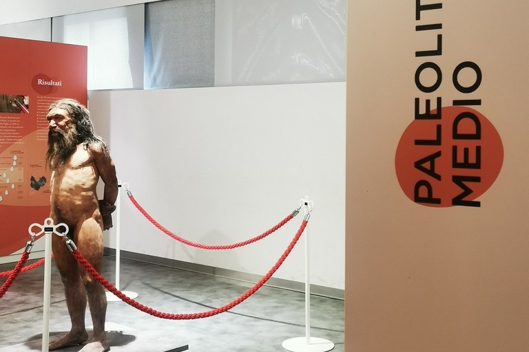 Immagine del post 2215 - Altamura Nuova direttrice al Museo archeologico di Altamura - Altamura