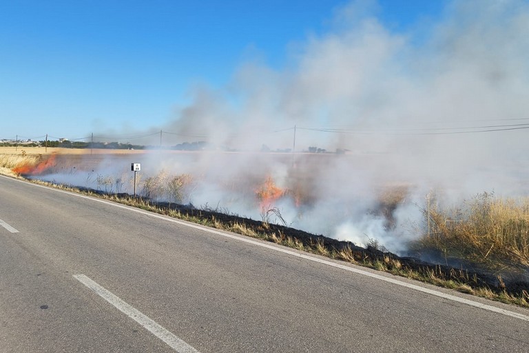 Spenti due incendi ad Altamura - Altamura