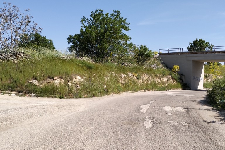 Immagine del post 4298 - Altamura Manutenzione delle strade urbane ed esterne - Altamura