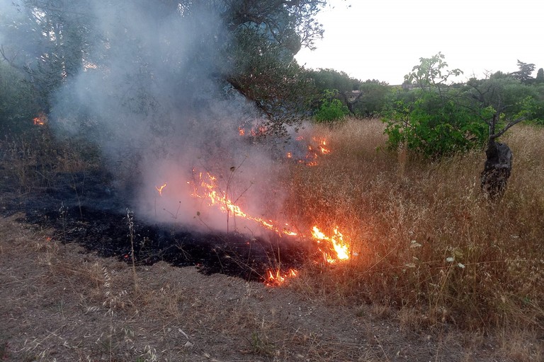 Altamura: spenti due incendi - Altamura