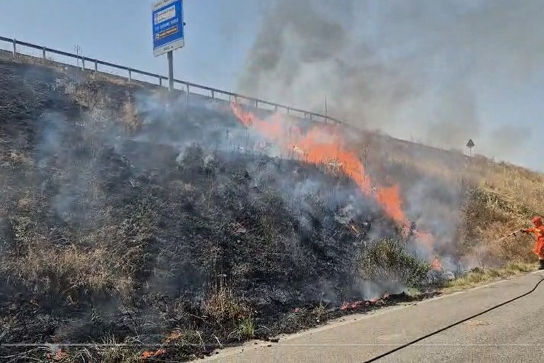 Giorni di fuochi, vari incendi nelle periferie - Altamura