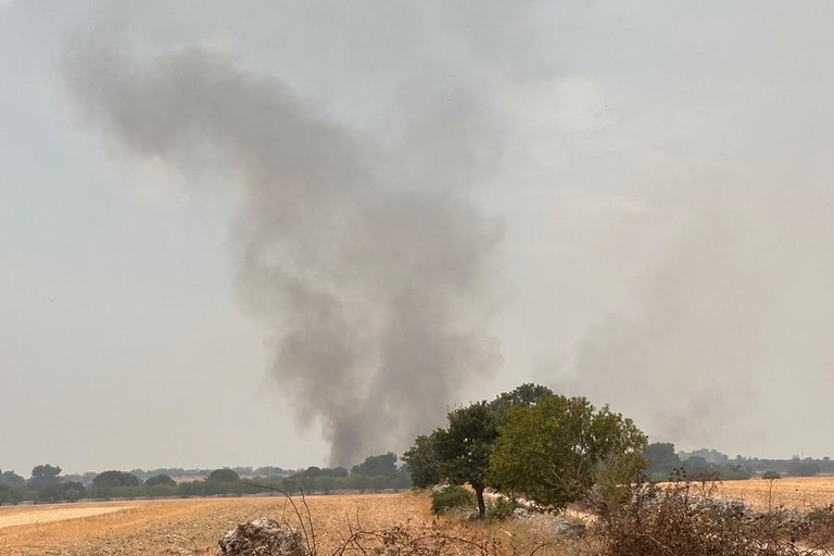 Immagine del post 23079 - Altamura Vasto incendio di bosco e pascoli ad Altamura, chiusa una strada - Altamura