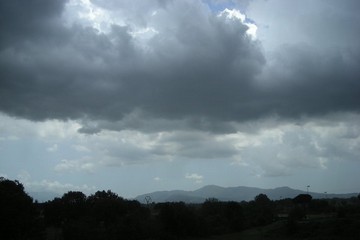 Immagine del post 471 - Altamura Allerta meteo in Puglia per vento - Altamura