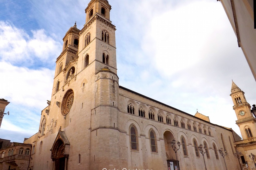 Papa Francesco: stasera veglia di preghiera in Cattedrale - Altamura