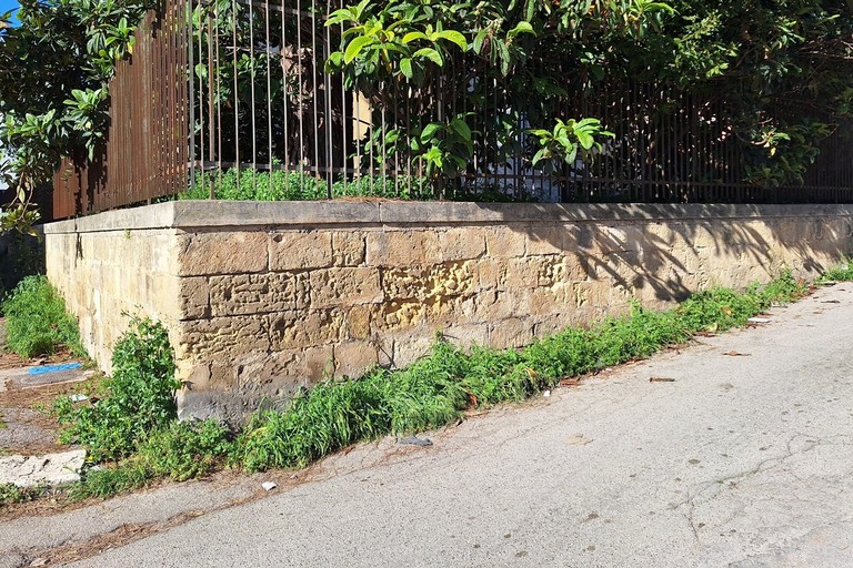Immagine del post 19650 - Altamura Intervenire in via Tobruk per vegetazione infestante - Altamura