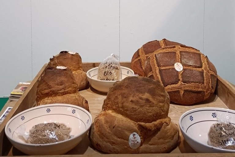 Immagine del post 9930 - Altamura Prodotti di qualità Dop e Igp sempre più "ambasciatori" di Puglia - Altamura