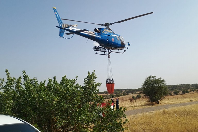 Immagine del post 23102 - Altamura Spento l'incendio nella Murgia, inizia la conta dei danni - Altamura