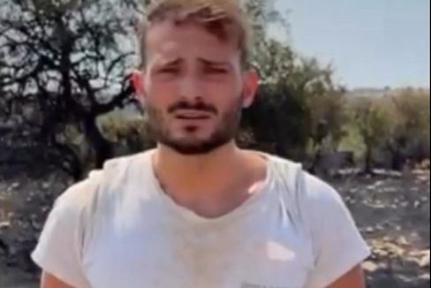 Immagine del post 23133 - Altamura Azienda nella morsa dell'incendio, dramma per giovane allevatore - Altamura