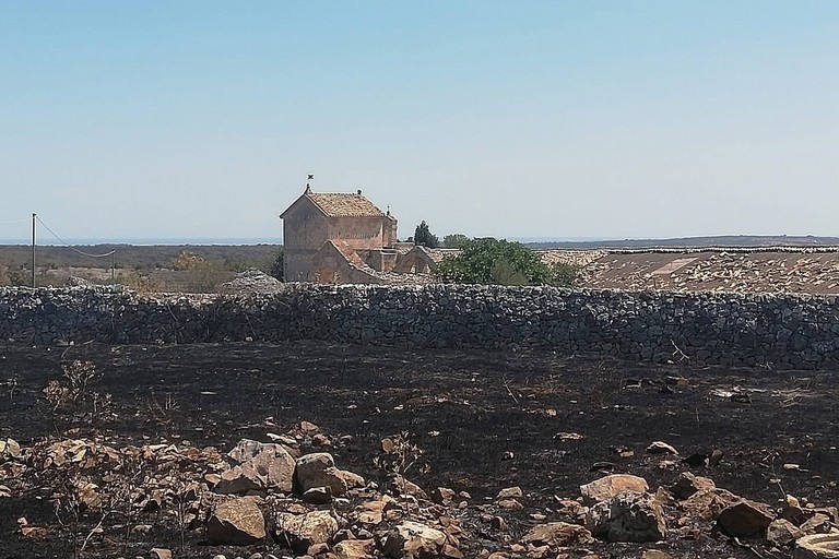 Murgia bruciata: dichiarare calamità e aiutare le aziende - Altamura
