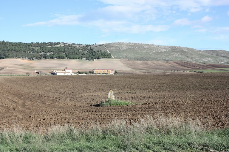 Immagine del post 923 - Altamura Valorizzazione dei tratturi, si parte - Altamura