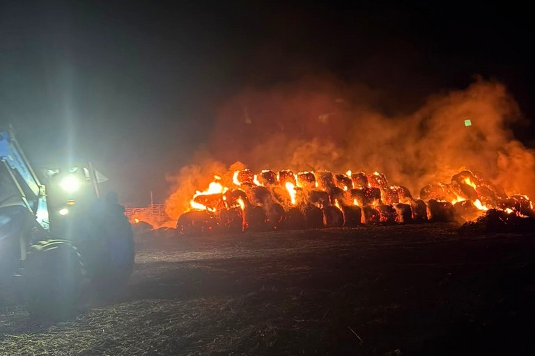 "Incendiato il nostro fieno": la denuncia di due fratelli - Altamura