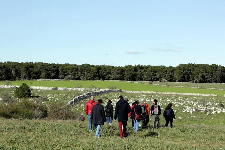 Immagine del post 6604 - Altamura Parco Alta Murgia: una "scuola" di biodiversità - Altamura