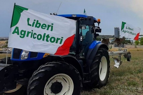 Immagine del post 12488 - Altamura Liberi agricoltori: produrre grano è diventato anti-economico" - Altamura