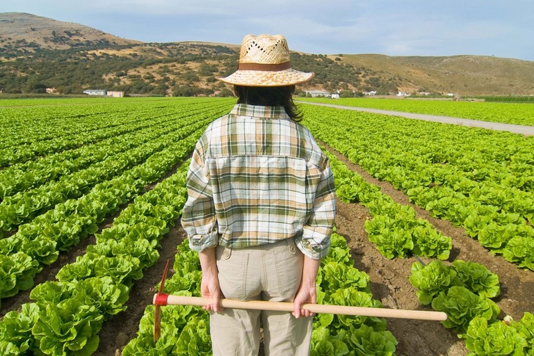 Immagine del post 10281 - Altamura Agricoltura: acque affinate dal depuratore per uso irriguo - Altamura
