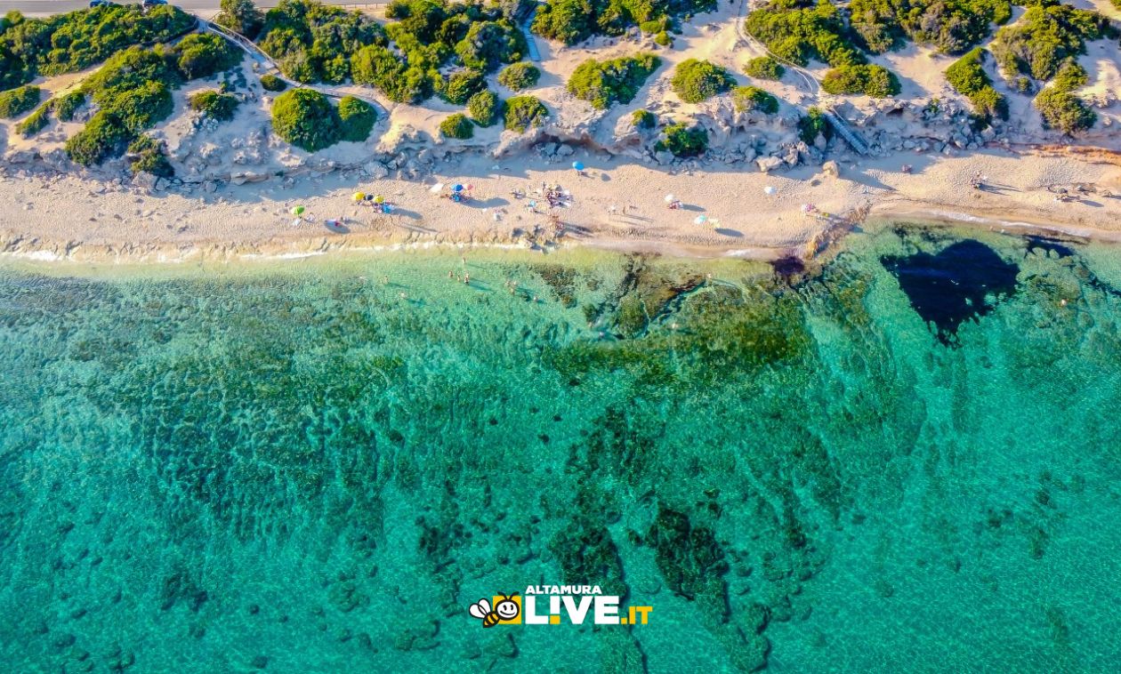 Immagine del post 8030 - Altamura La Puglia 1ª in Italia per eccellenza delle acque di balneazione per il 5° anno consecutivo - Altamura