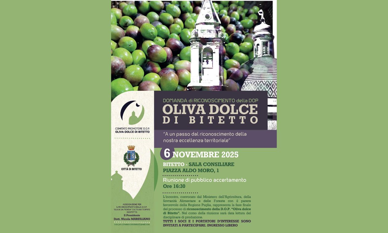 Immagine del post 13449 - Altamura Verso il marchio DOP per l’oliva “Dolce di Bitetto”: il MASAF convoca la seduta di Pubblico Accertamento - Altamura