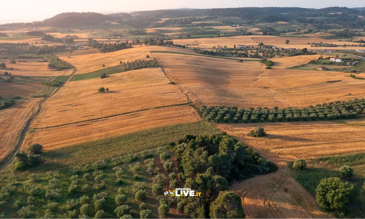 PSR Puglia: tra le prime regioni in Italia. Con 42 milioni di euro in più: sostegno a imprese agricole e a giovani agricoltori - Altamura