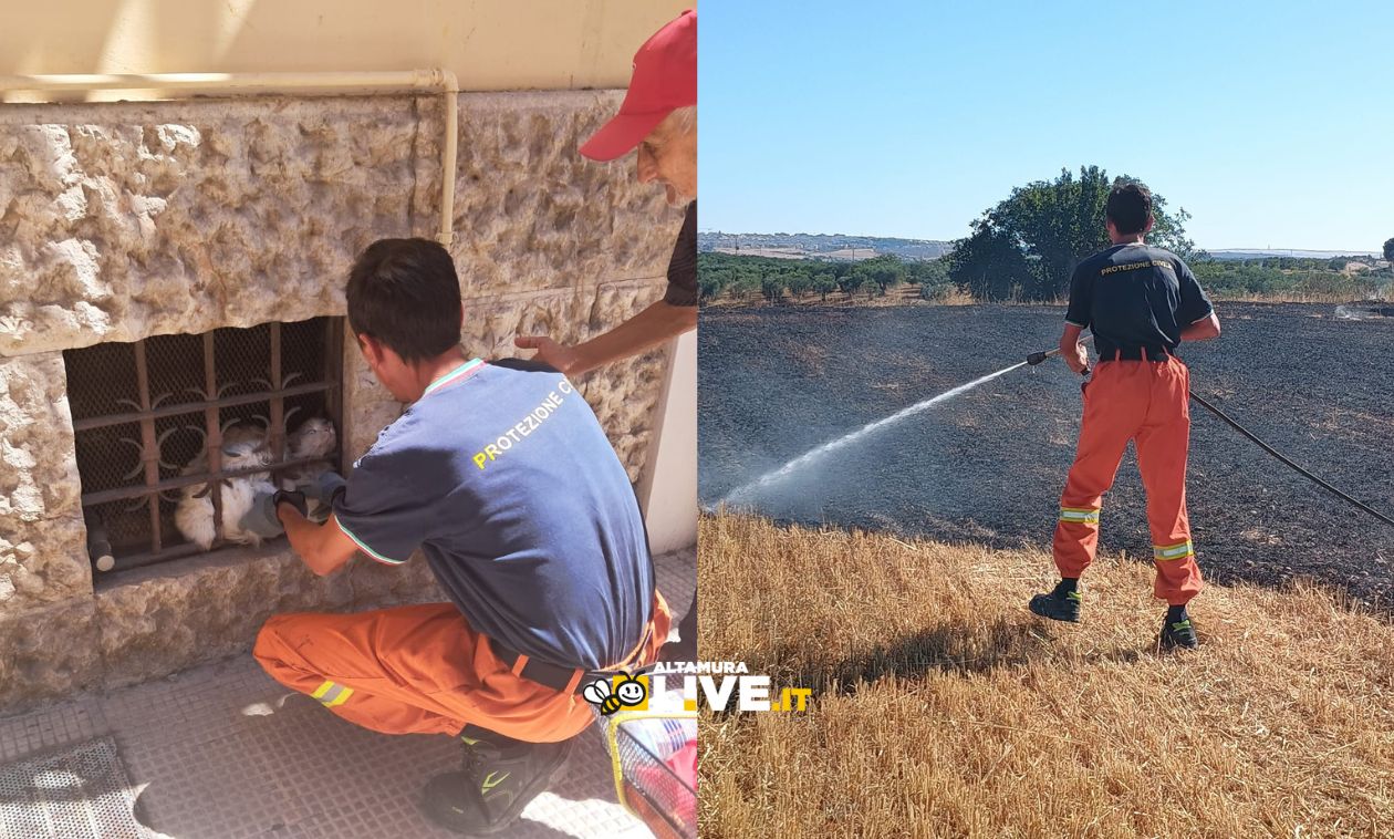 Salvataggio di un gatto e 2 incendi domati dalla Protezione Civile di Altamura nel weekend - Altamura