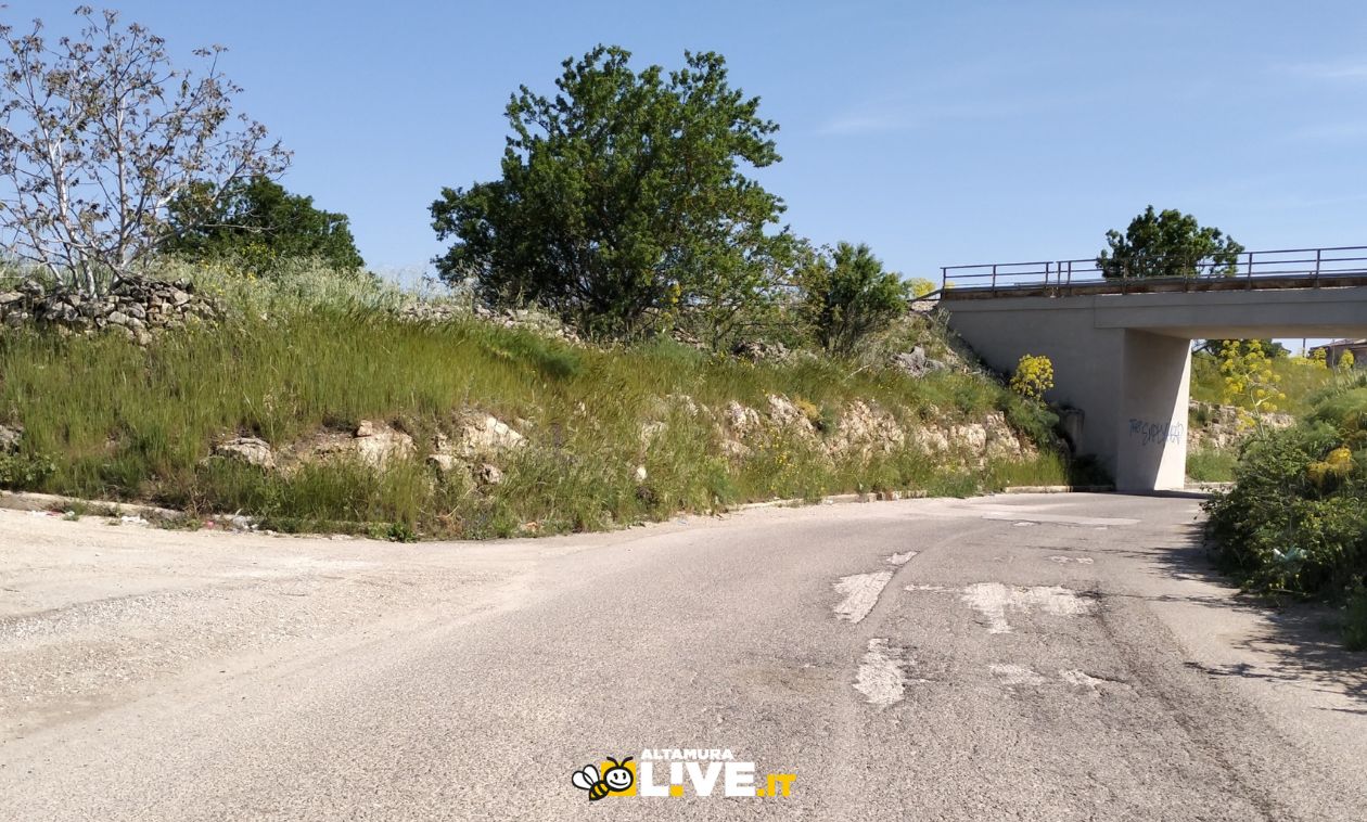 Immagine del post 4359 - Altamura Altamura, in arrivo lavori su strade comunali esterne: Trani-Curtolirizzi, Vecchia di Cassano, Grottole, Torre La Macchia e Grotta San Giorgio - Altamura