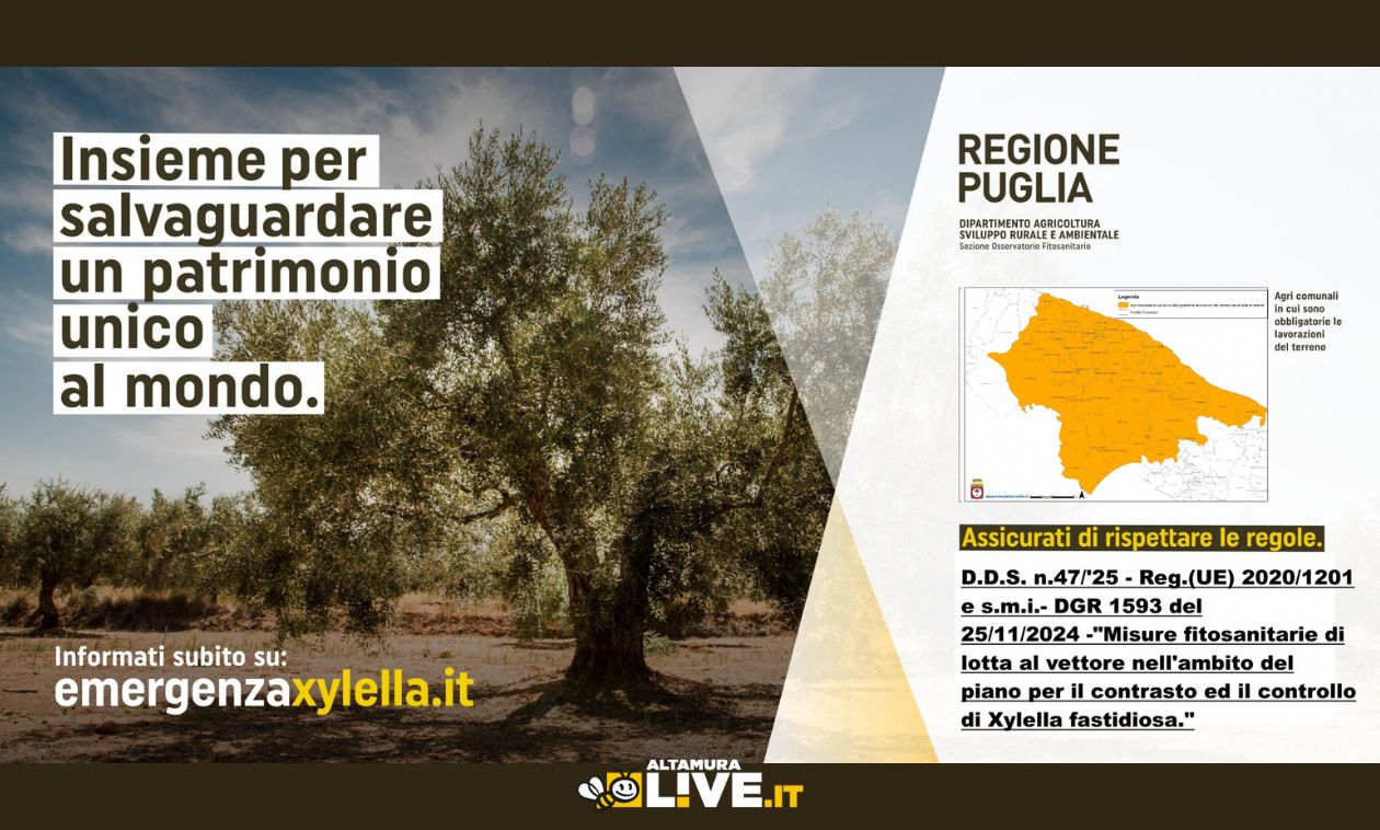 Allarme Xylella, scatta l’obbligo di lavorazione dei terreni anche ad Altamura: interventi entro il 12 maggio - Altamura