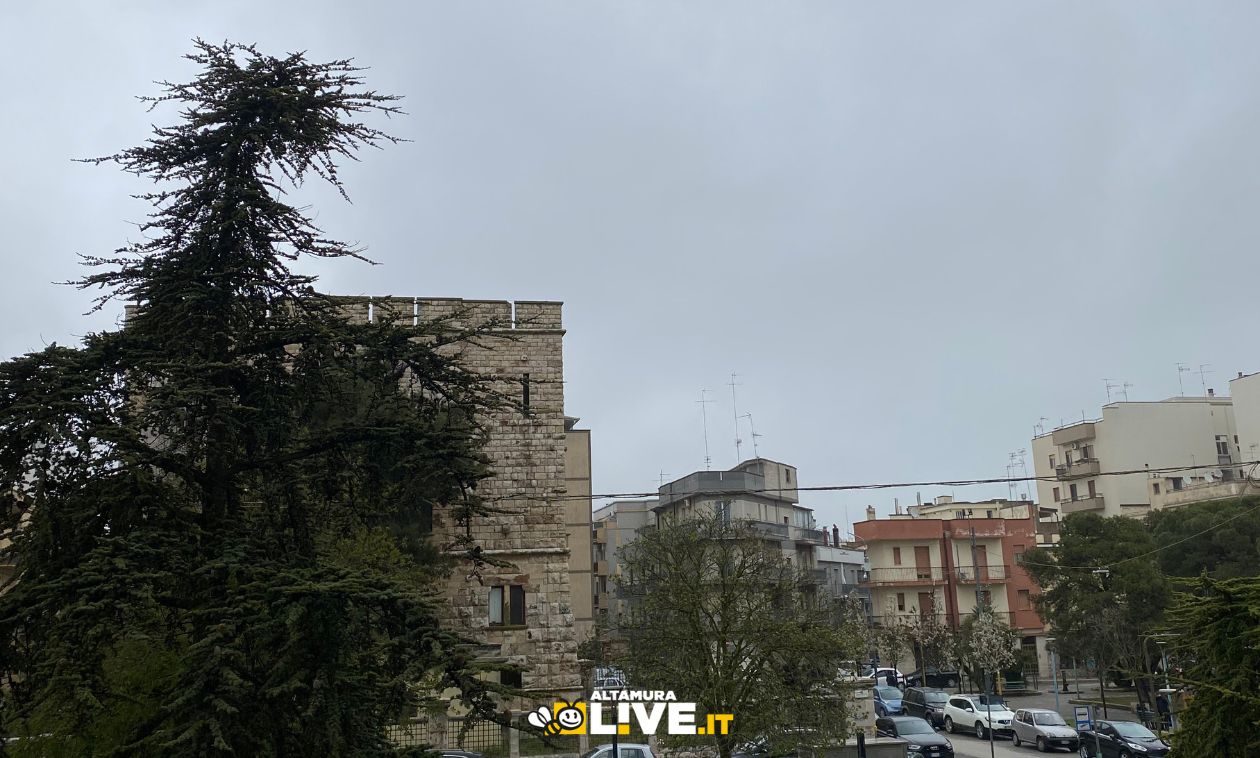 Maltempo Altamura, allerta meteo per forti venti il 24 e il 25 marzo - Altamura