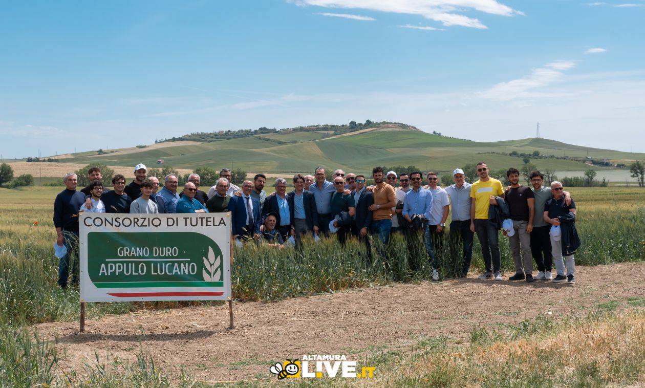 Consorzio Grano Duro Appulo Lucano: valorizzazione della filiera corta e coinvolgimento delle nuove generazioni  - Altamura