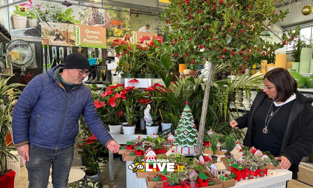 Immagine del post 14388 - Altamura Vivai Decandia: tutte le idee regalo per il Natale. Aperture straordinarie il 29-30 novembre e 6-7 dicembre - Altamura