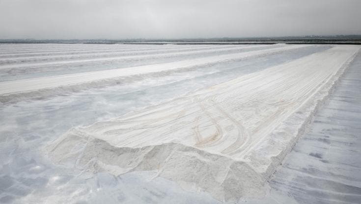 Lo spettacolo delle saline riprese dal drone: effetto ghiacciaio in riva al mare - Bari