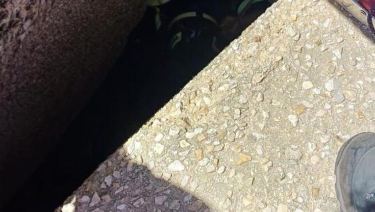 Immagine del post 7951 - Bari Trani, turista scivola sugli scogli e resta intrappolata tra i frangiflutti: è grave - Bari