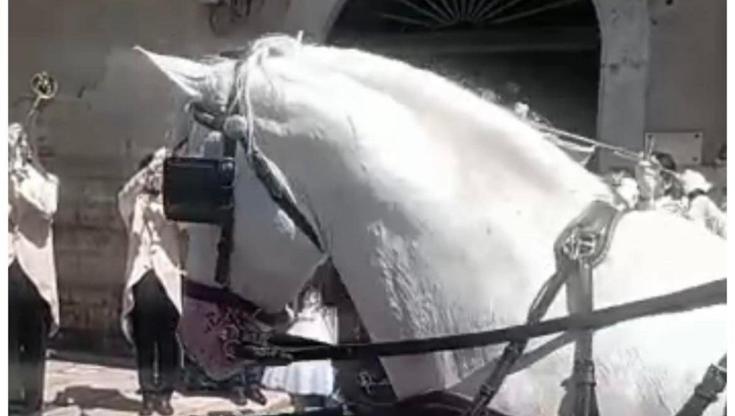 Immagine del post 9143 - Bari Nozze in carrozza, marmi neri e bar in casa: a Molfetta la dolce vita da abusivo di Michele Parisi - Bari