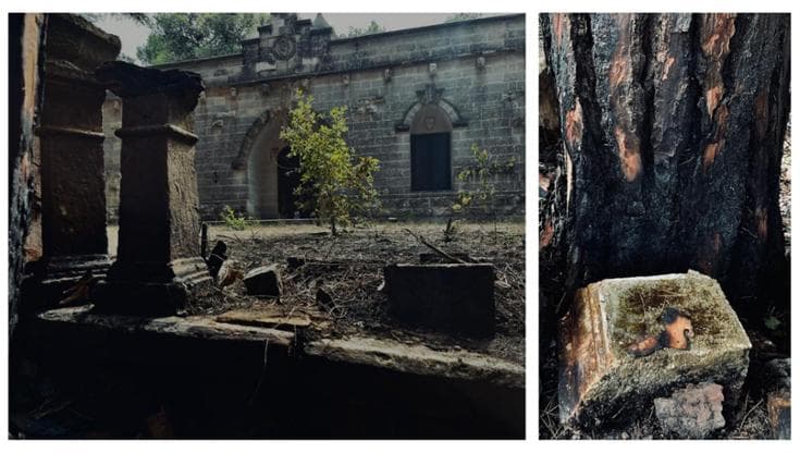Immagine del post 24502 - Bari Incendiata la pineta della villa del professor Borri alla Selva di Fasano. “Solo l’ultimo episodio” - Bari